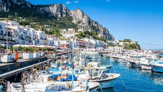 Desde Sorrento: excursión de un día a Capri, Anacapri y la Gruta Azul