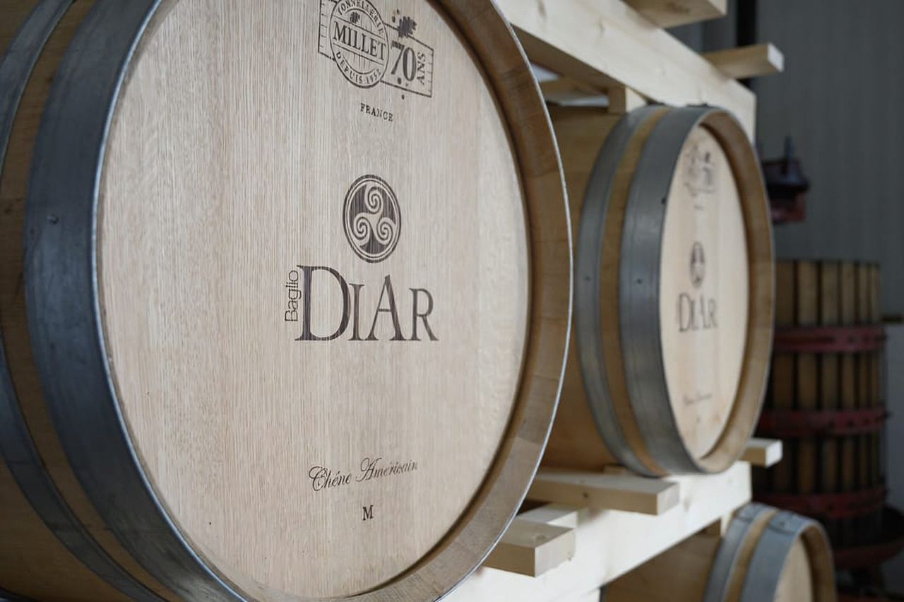 Winery tour and tasting of Sicilian organic wines in Marsala