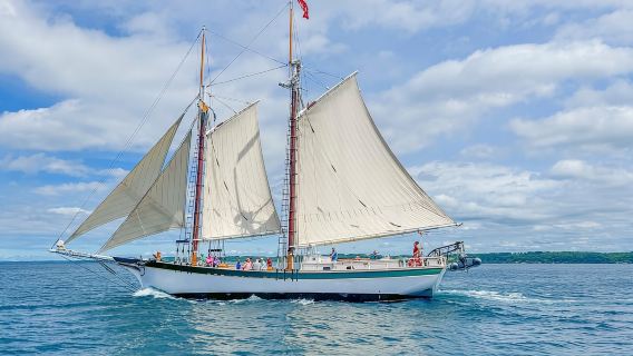 Traverse City: Fall Afternoon Sail Adventure on a Tall Ship