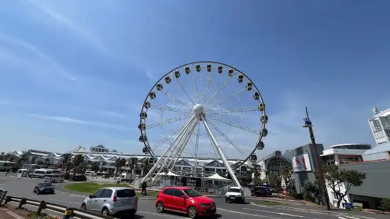 ทัวร์ส่วนตัวชมนกและชิมไวน์ Two Oceans Aquarium World