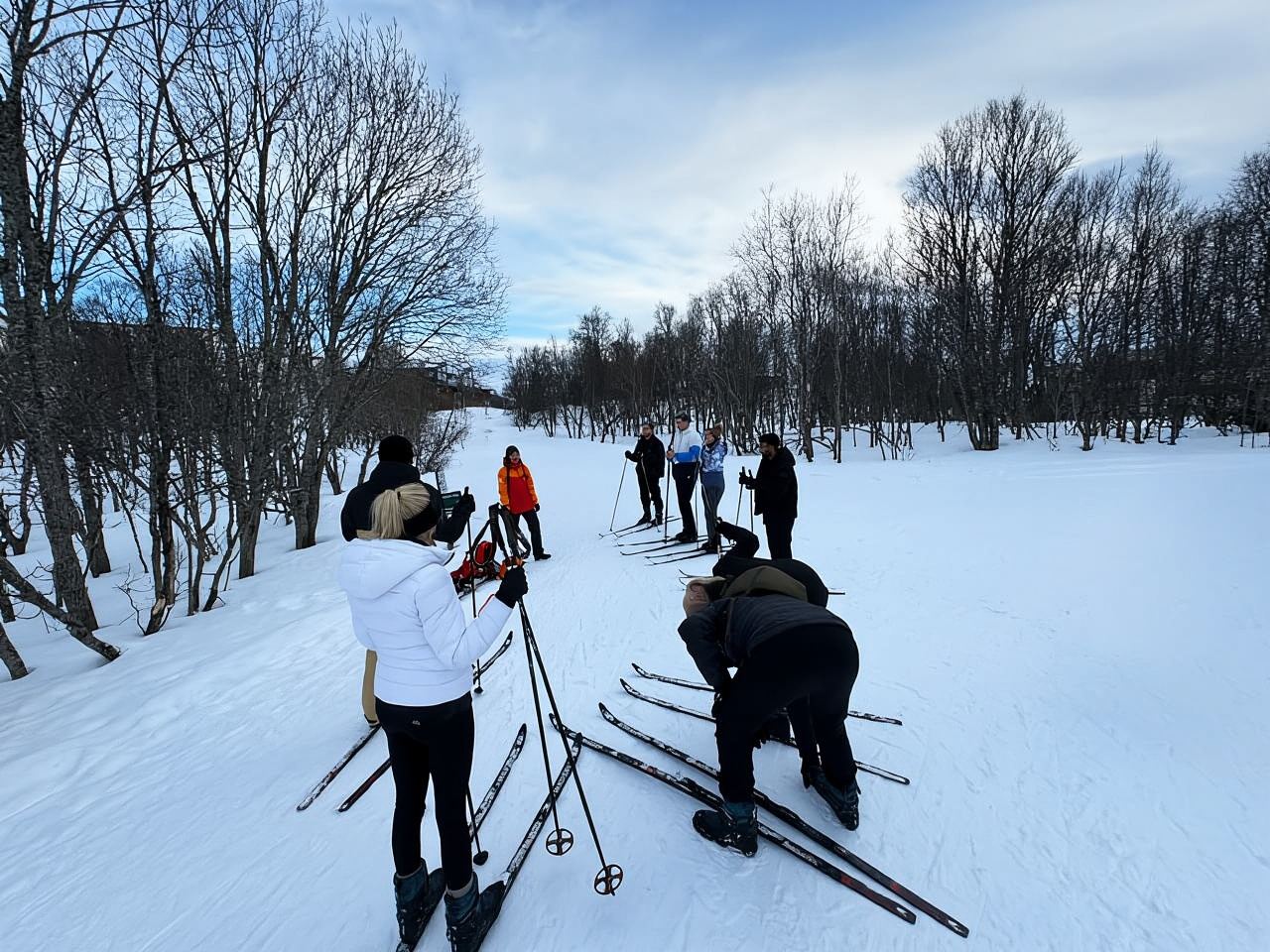 Tromsø: Cross-Country Skiing Beginner Course + Transfer