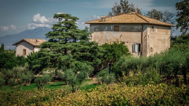 ฟราสกาติ: ทัวร์ไวน์ครึ่งวัน