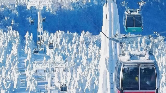 日本札幌來回旭川富良野美瑛經典網紅景點打卡-包車-精選