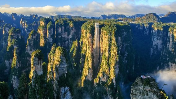 Zhangjiajie National Forest Park Private Guided Day Tour | In-depth exploration of Avatar filming locations