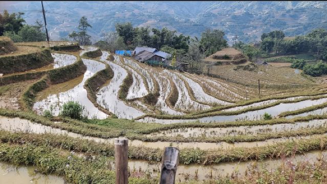 ซาปา: ทัวร์ Y Linh Ho - Lao Chai และหมู่บ้าน Ta Van วันเดียว