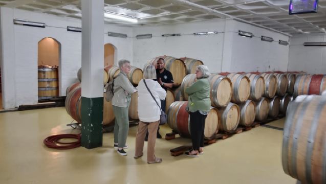 Cheetah , Monkey World &Cape Winelands in Stellenbosch tour