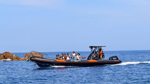 Porto: Perjalanan Kapal ke Scandola dan Calanches of Piana