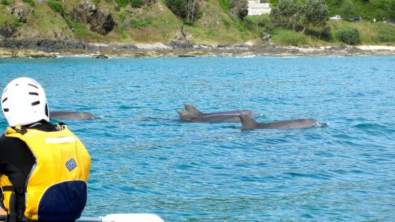 Byron Bay: The Byron Bay Sea Kayak Tour
