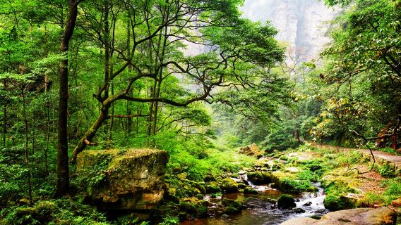ZhangjiajieTours