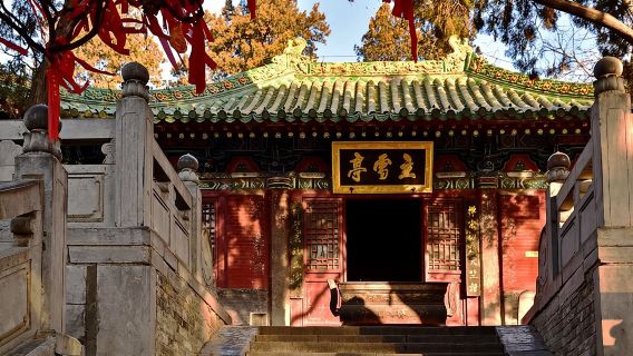 Private Day Tour to Shaolin Temple and Longmen Grottoes from Zhengzhou