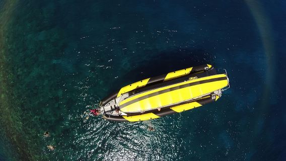 5 Hour Molokini Snorkel & Turtle Tour in Maui