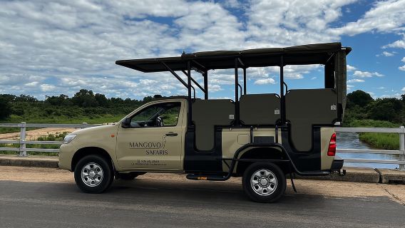 Small-Group Full-Day Safari Tour in Kruger National Park