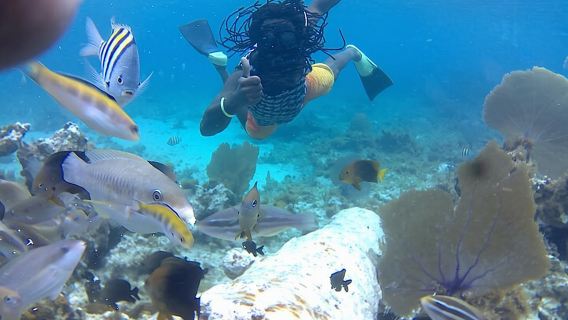 Incredible Negril Guided Snorkeling To Reef, Anchor, and Cannon