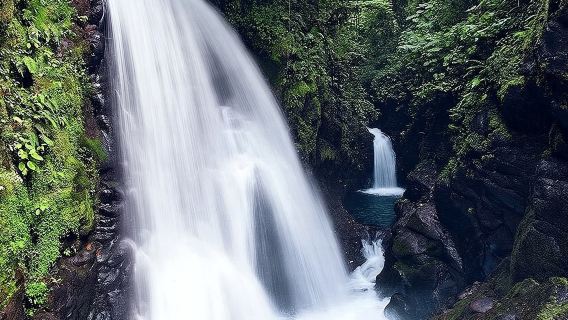 Costa Rica San Jose La Paz Waterfall Tour (Group Tour/Book for 1 person)