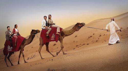 1-Hour Dune Buggy Self-Drive, Camel Ride & Sandboarding Adventure 7