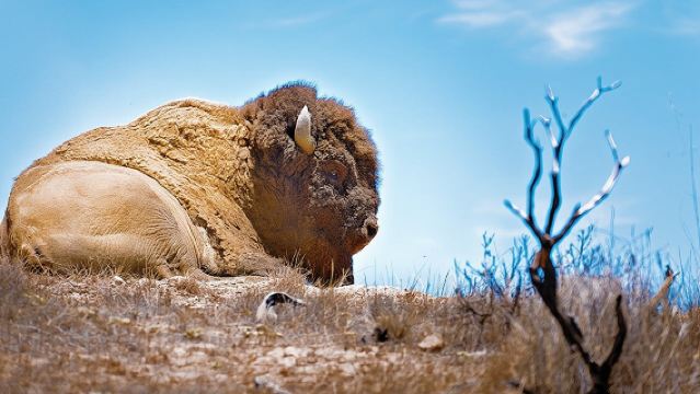 ทัวร์ผจญภัยสุดพิเศษ 2 ชั่วโมงที่เกาะซานตา คาตาลินา