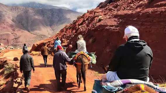 Day Trip to Ourika Valley and Atlas Mountains
