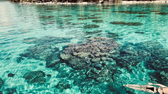 Safari por la laguna de medio día en Bora Bora - Tour compartido
