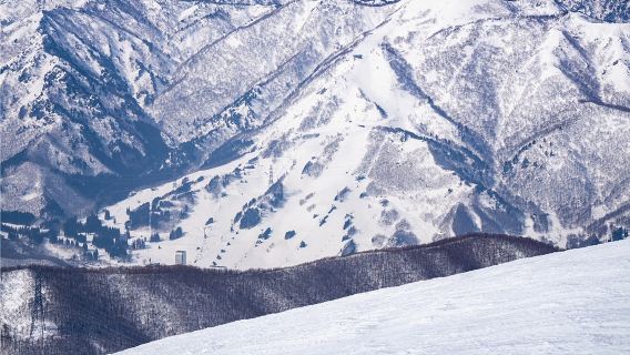 Naeba Ski Resort: Adult ski lessons (in Chinese) can be added to the purchase of ski passes