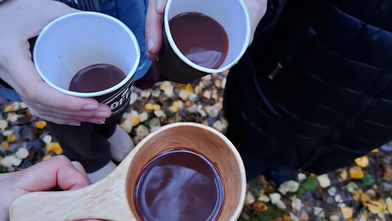 Oulu: Hietasaari Wildlife Hike with Nature Guide