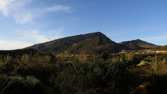 Pantelleria: Escursione Escursionistica Botanica di Stagione
