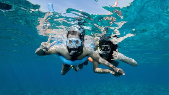 Da Ma'alaea: AM Turtle Town Snorkeling a bordo di Quicksilver