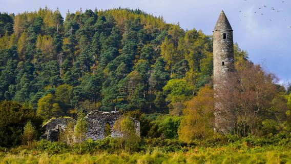 From Dublin: Half-Day Trip to Glendalough and Wicklow