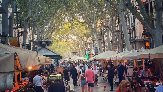 Barcelona: Tour đi bộ Ramblas, Phố cổ và Nhà Gaudí