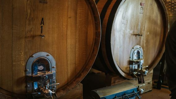 Tur mencicipi anggur dengan minyak zaitun dan salami