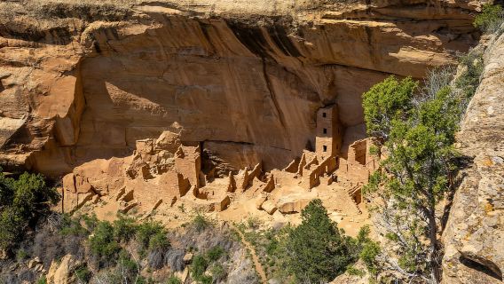 Ab Durango: Mesa Verde Express Tour & Cliff Palace Ticket