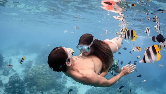 Bora Bora: Jetski, Mittagessen & Hai-/Rochensafari