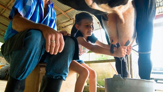 La Fortuna: Granja familiar para grupos pequeños y experiencia con perezosos