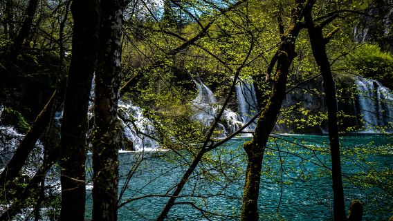 Da Zagabria: tour di un giorno intero al Parco Nazionale dei Laghi di Plitvice