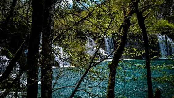 Da Zagabria: tour di un giorno intero al Parco Nazionale dei Laghi di Plitvice