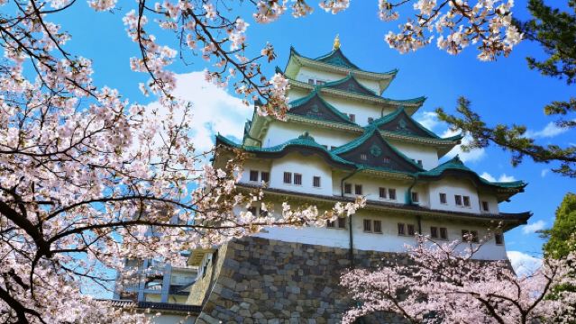 日本名古屋｜地接｜翻譯陪同｜地陪旅遊｜展會｜商務考察｜AY