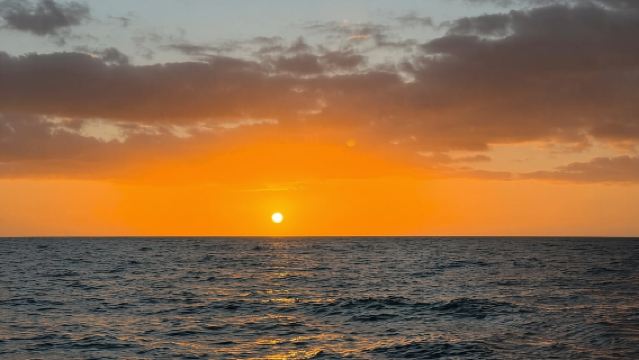 Funchal: Scenic Morning or Sunset Coastal Catamaran Tour