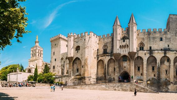Palace of the Popes & Pont d'Avignon: Entry Ticket