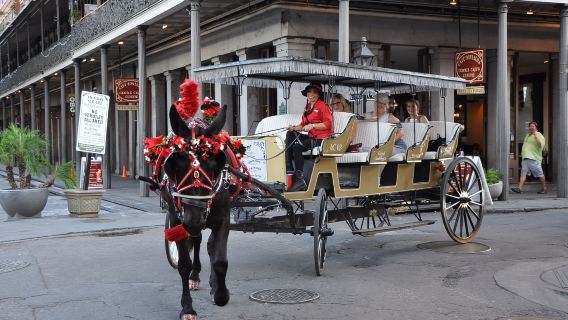 French Quarter by Mule Drawn Carriage: 60-Minute Tour
