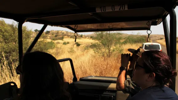 Experiencia de día completo en Pilanesberg en vehículo abierto