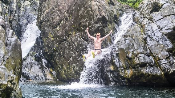 Lawatan Hari Vivid Hutan Hujan El Yunque Kumpulan Kecil dengan Pengangkutan