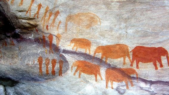 Наскальные рисунки в Драконовом Камберге и место захвата Манделы: однодневная экскурсия из Дурбана