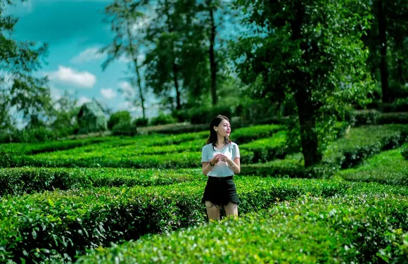 雲南騰衝熱海景區+大地茶海+司莫拉佤族村一日遊可升級浴谷溫泉
