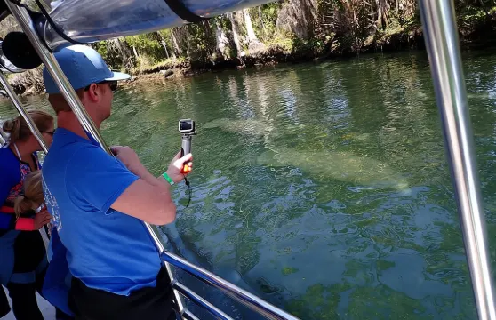 克里斯特爾里弗海牛觀賞郵輪