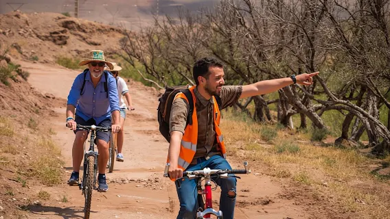 Bike tour in Marrakech's palmgroove with a local guide