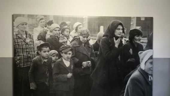 one-day tour to Auschwitz concentration camp in Krakow, Poland in English | including admission ticket+ official professional guide