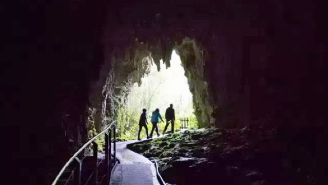 Grottes de Waitomo Glowworm, Nouvelle-Zélande