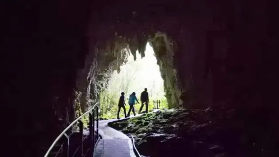 Waitomo Glowworm Caves, New Zealand