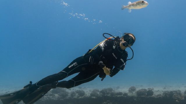 Lawatan Skuba Bot 4 Jam Penyu Laut Gergasi Terumbu Karang yang Sangat Menyeronokkan