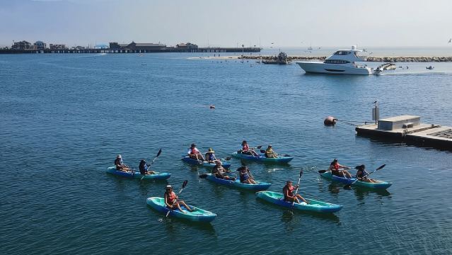 Kayak Tour of Santa Barbara with Experienced Guide