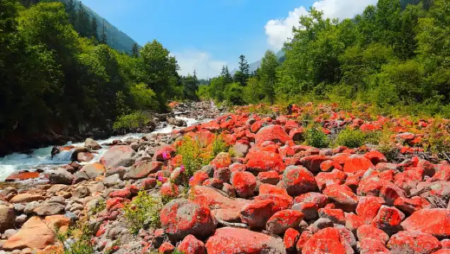 Sichuan Bipenggou Scenic Area Private Day Tour from Chengdu